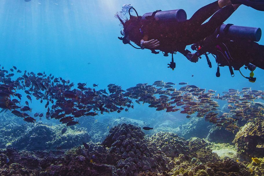 discover scuba diver