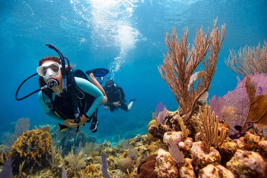 discover scuba diver
