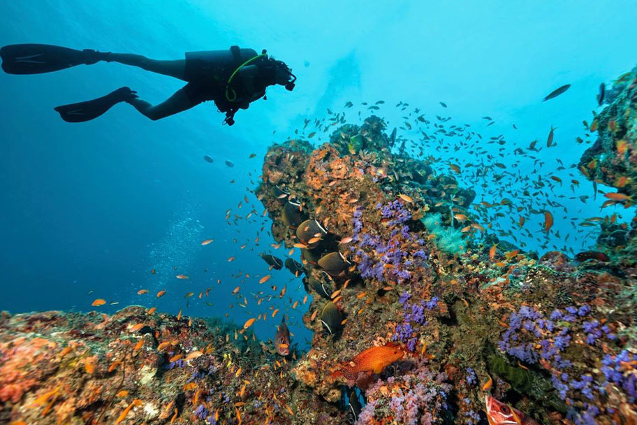 discover scuba diver