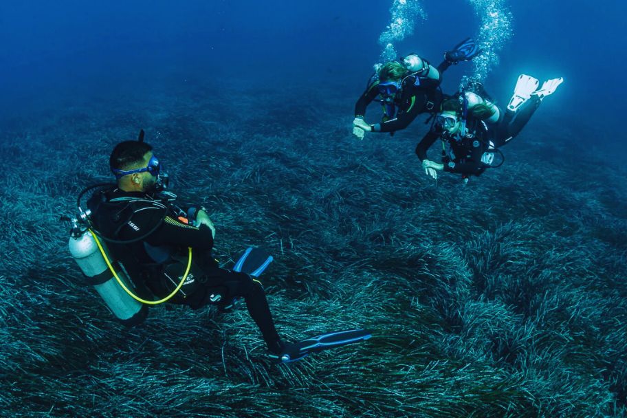 discover scuba diver