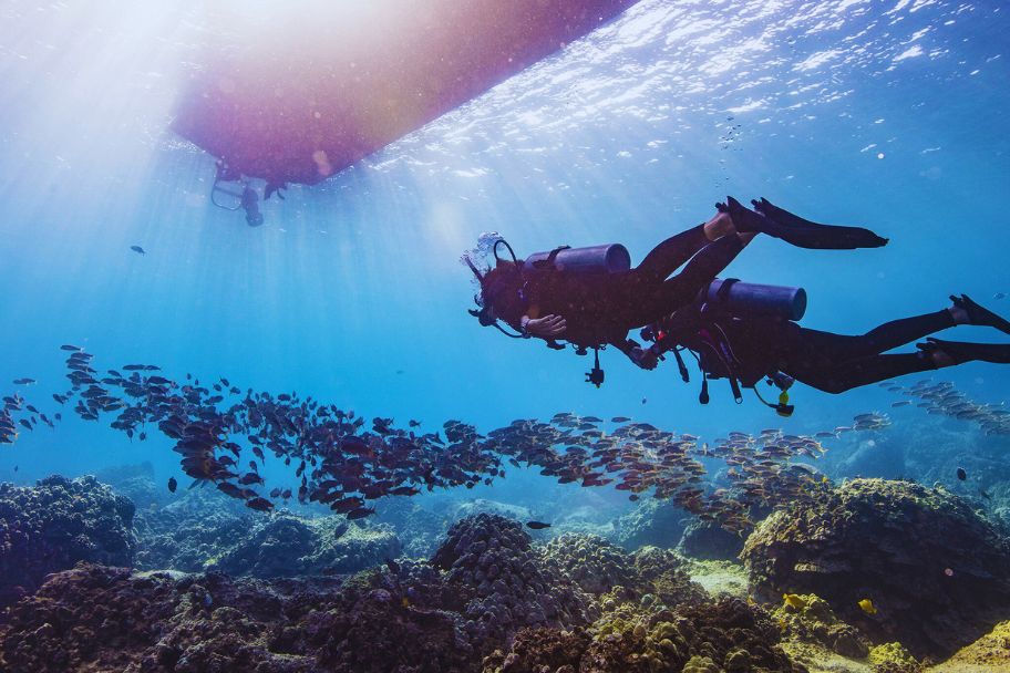 discover scuba diver