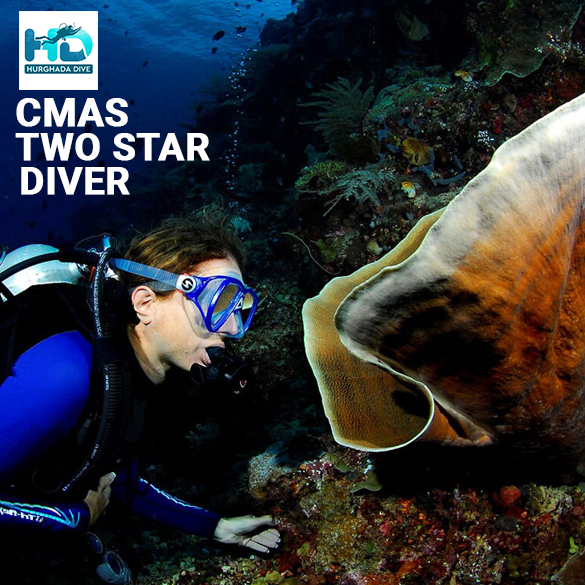 CMAS Two Star Diver