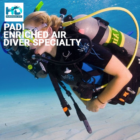 PADI Enriched Air Diver (Nitrox)