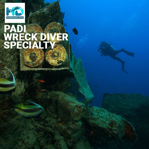 PADI Wreck Diver Specialty Course